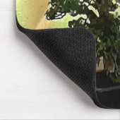 Bougainvillea Bonsai Tree Muismat (Hoek)