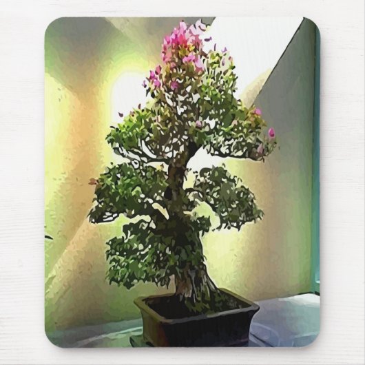 Bougainvillea Bonsai Tree Muismat (Voorkant)
