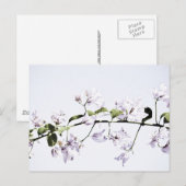 Bougainvillea Briefkaart (Voorkant / Achterkant)