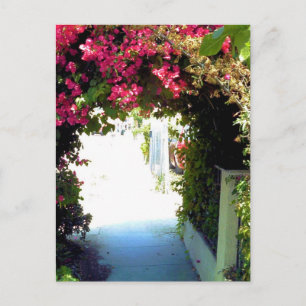 Bougainvillea Briefkaart
