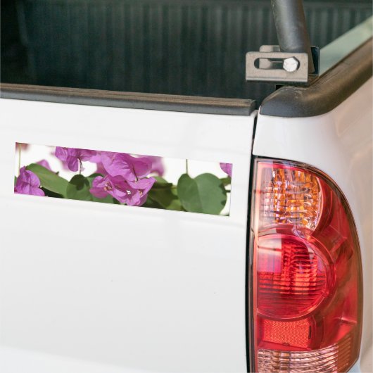 Bougainvillea Bumpersticker (Op Truck)