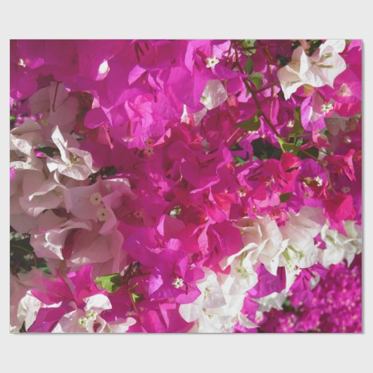 Bougainvillea Cadeaupapier (Vlak)