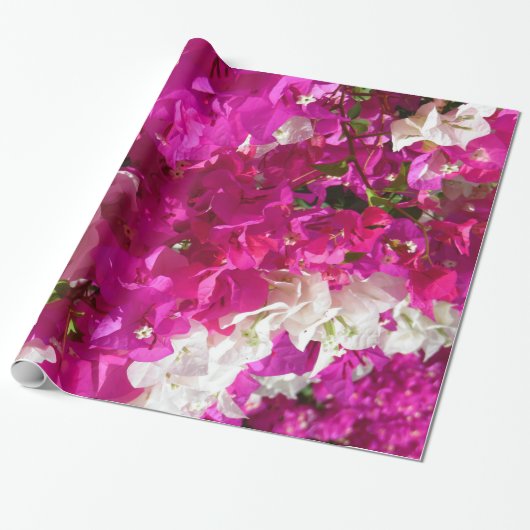 Bougainvillea Cadeaupapier (Uitgerold)