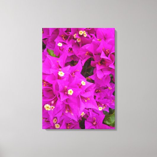 Bougainvillea Canvas Afdruk (Voorkant)