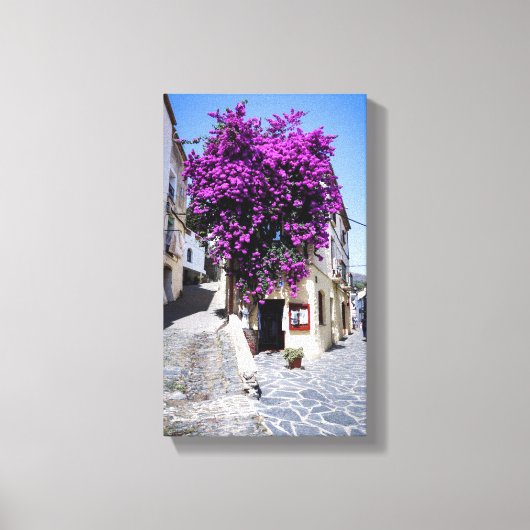 Bougainvillea Canvas Afdruk (Voorkant)