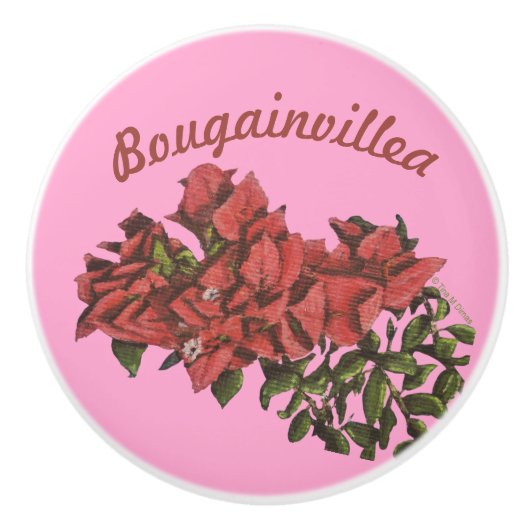 Bougainvillea Ceramic Knob Keramische Knop (Voorkant)