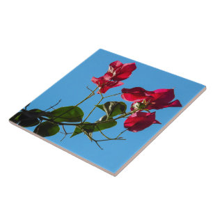 Bougainvillea Ceramic Tile Tegeltje