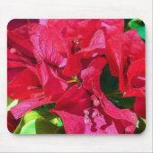 Bougainvillea Closeup Mousepad Muismat (Voorkant)