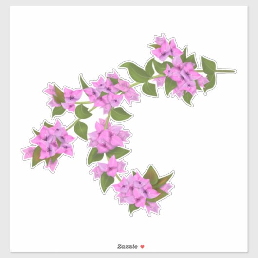 Bougainvillea decal sticker (Vel)
