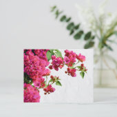 Bougainvillea Floral — Grieks eiland Feestdagenkaart (Staand voorkant)