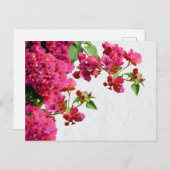 Bougainvillea Floral — Grieks eiland Feestdagenkaart (Voorkant / Achterkant)