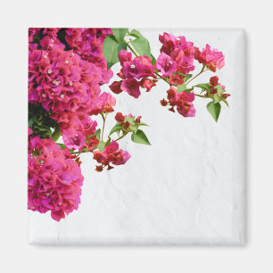 Bougainvillea Floral — Grieks eiland Magneet