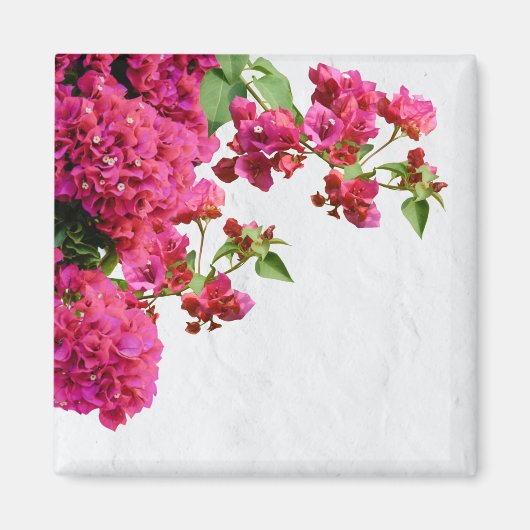 Bougainvillea Floral — Grieks eiland Magneet (Voorkant)