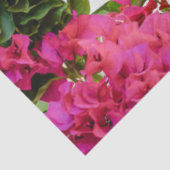 Bougainvillea Floral — Grieks eiland Tissuepapier (Detail)