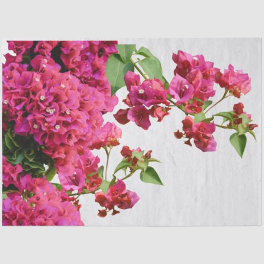 Bougainvillea Floral — Grieks eiland Tissuepapier (Voorkant)