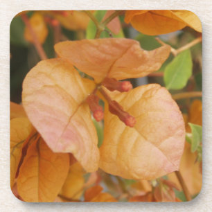 Bougainvillea Flower Onderzetters