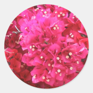 Bougainvillea Flower Sticker