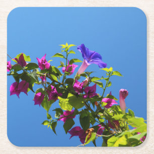 Bougainvillea Flower with Blue Sky Kartonnen Onderzetters