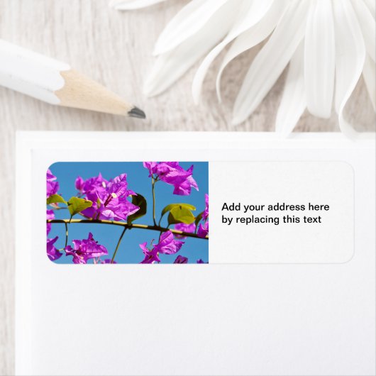 Bougainvillea Flowers Etiket (Insitu)
