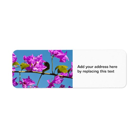 Bougainvillea Flowers Etiket (Voorkant)