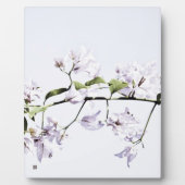 Bougainvillea Fotoplaat (Voorkant)