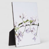 Bougainvillea Fotoplaat (Zijkant)