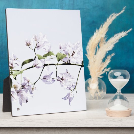 Bougainvillea Fotoplaat (Zijkant)