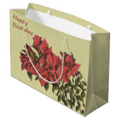 Bougainvillea grote cadeautas (Achterkant Gekanteld)