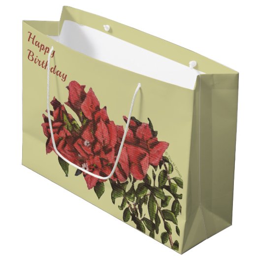 Bougainvillea grote cadeautas (Voorkant Gekanteld)