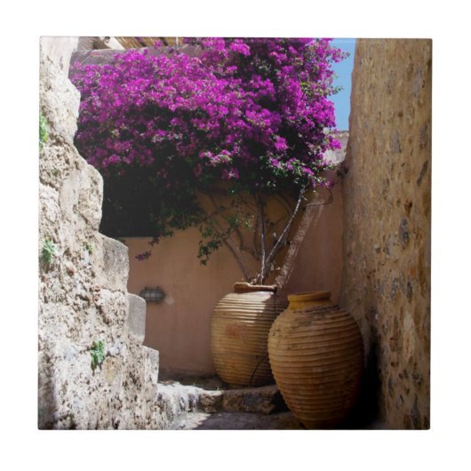 Bougainvillea in amphorah tegeltje (Voorkant)