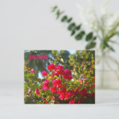 Bougainvillea in Bucerias Briefkaart (Staand voorkant)