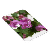 Bougainvillea Magneet (Rechterzijde)