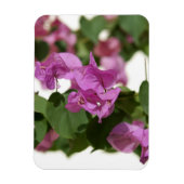 Bougainvillea Magneet (Verticaal)