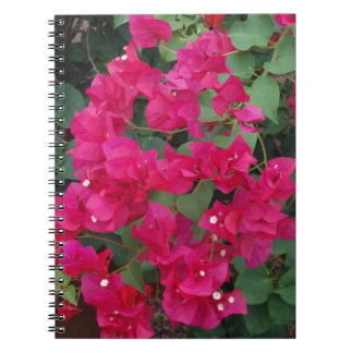 Bougainvillea Notitieboek