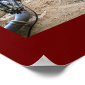 Bougainvillea op Window Poster (Hoek)