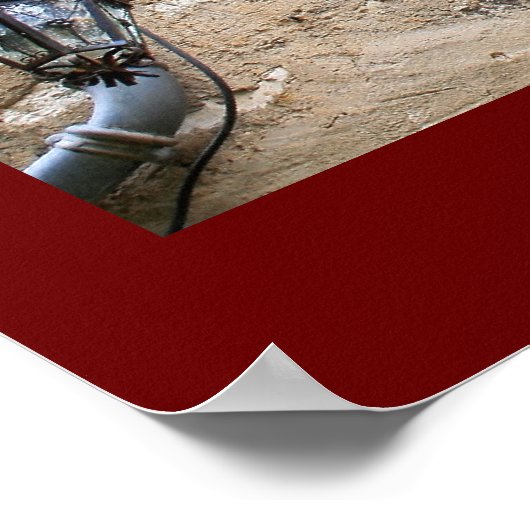 Bougainvillea op Window Poster (Hoek)