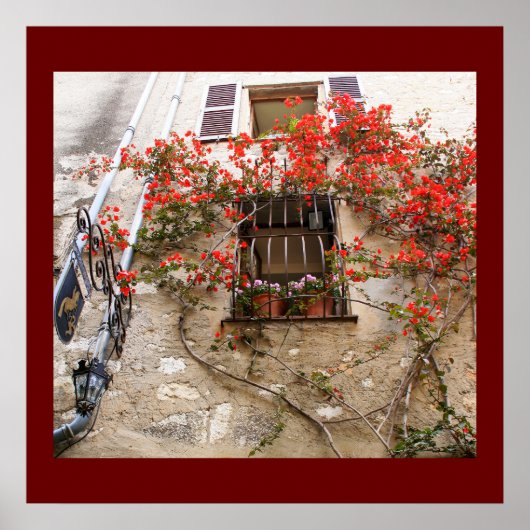 Bougainvillea op Window Poster (Voorkant)