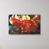 Bougainvillea (perzikafsluiting) canvas afdruk (Voorkant)