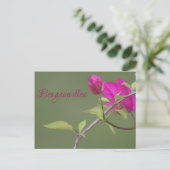 Bougainvillea Pink Elegant Australian Briefkaart (Staand voorkant)