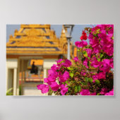 Bougainvillea Poster (Voorkant)