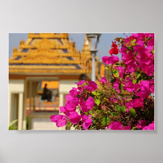 Bougainvillea Poster (Voorkant)