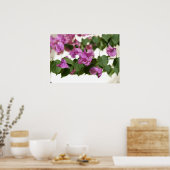 Bougainvillea Poster (Keuken)