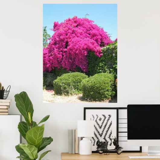 Bougainvillea Poster (Thuiskantoor)