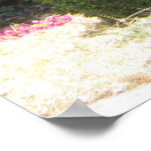 Bougainvillea Poster (Hoek)