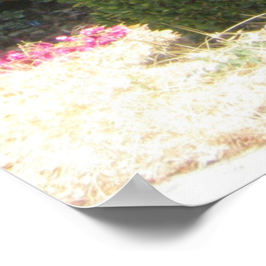 Bougainvillea Poster (Hoek)