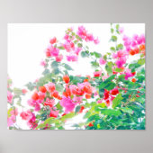 bougainvillea poster (Voorkant)