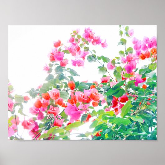 bougainvillea poster (Voorkant)