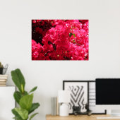 Bougainvillea Poster (Thuiskantoor)