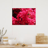 Bougainvillea Poster (Keuken)