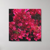 Bougainvillea Red Tropical Vining Shrub Foto Canvas Afdruk (Voorkant)